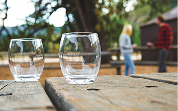 Shatterproof and Odor Resistant Plastic Wine Glasses