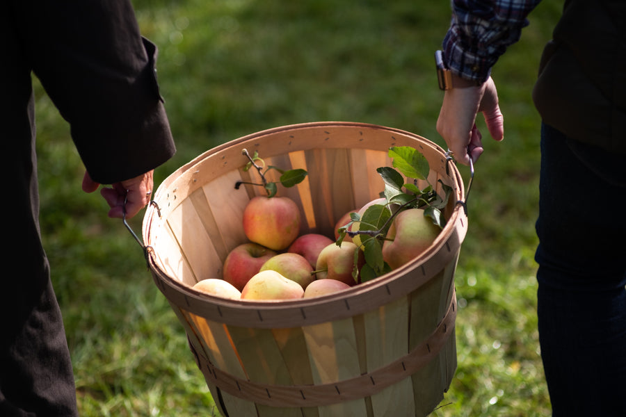 How to Throw an Apple Picking Party
